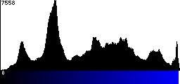 Blue Histogram