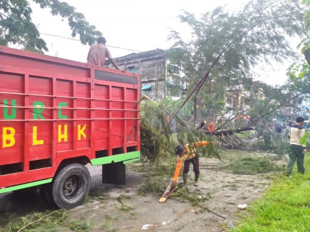 Melayani Petugas Tim Kebersihan Mengangkut Sampah Pohon