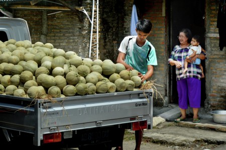 Pedagang Melon