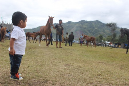 Pacuan Kuda Gayo Highland Indonesia
