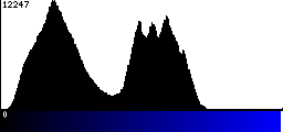 Blue Histogram