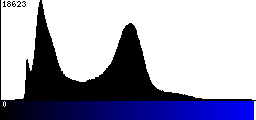 Blue Histogram