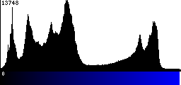 Blue Histogram