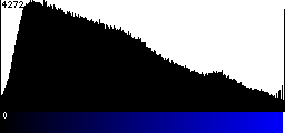 Blue Histogram