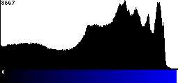 Blue Histogram