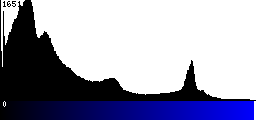 Blue Histogram