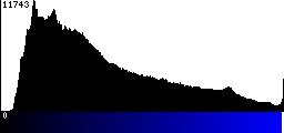 Blue Histogram