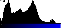 Blue Histogram