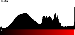 Red Histogram