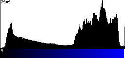 Blue Histogram