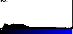 Blue Histogram