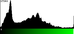 Green Histogram