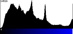 Blue Histogram