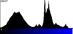 Blue Histogram