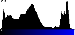 Blue Histogram