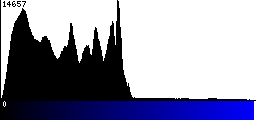 Blue Histogram