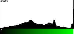 Green Histogram