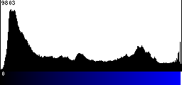 Blue Histogram