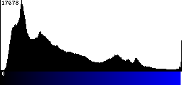 Blue Histogram