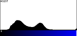 Blue Histogram