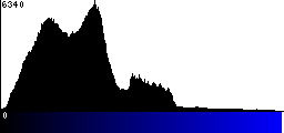 Blue Histogram