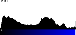 Blue Histogram