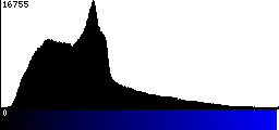 Blue Histogram