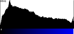 Blue Histogram