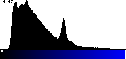 Blue Histogram