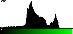 Green Histogram