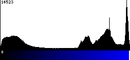 Blue Histogram