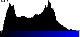 Blue Histogram