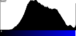 Blue Histogram