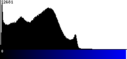 Blue Histogram