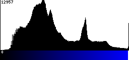 Blue Histogram