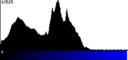 Blue Histogram