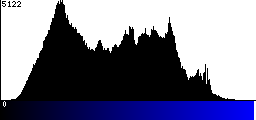 Blue Histogram