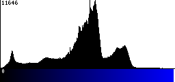 Blue Histogram