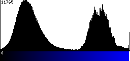 Blue Histogram