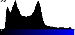 Blue Histogram