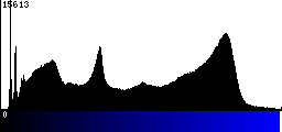 Blue Histogram