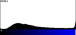 Blue Histogram