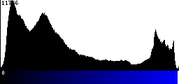 Blue Histogram