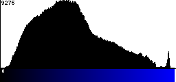 Blue Histogram