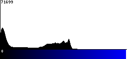 Blue Histogram