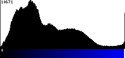 Blue Histogram