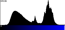 Blue Histogram