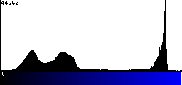 Blue Histogram