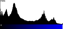 Blue Histogram