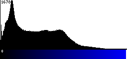 Blue Histogram